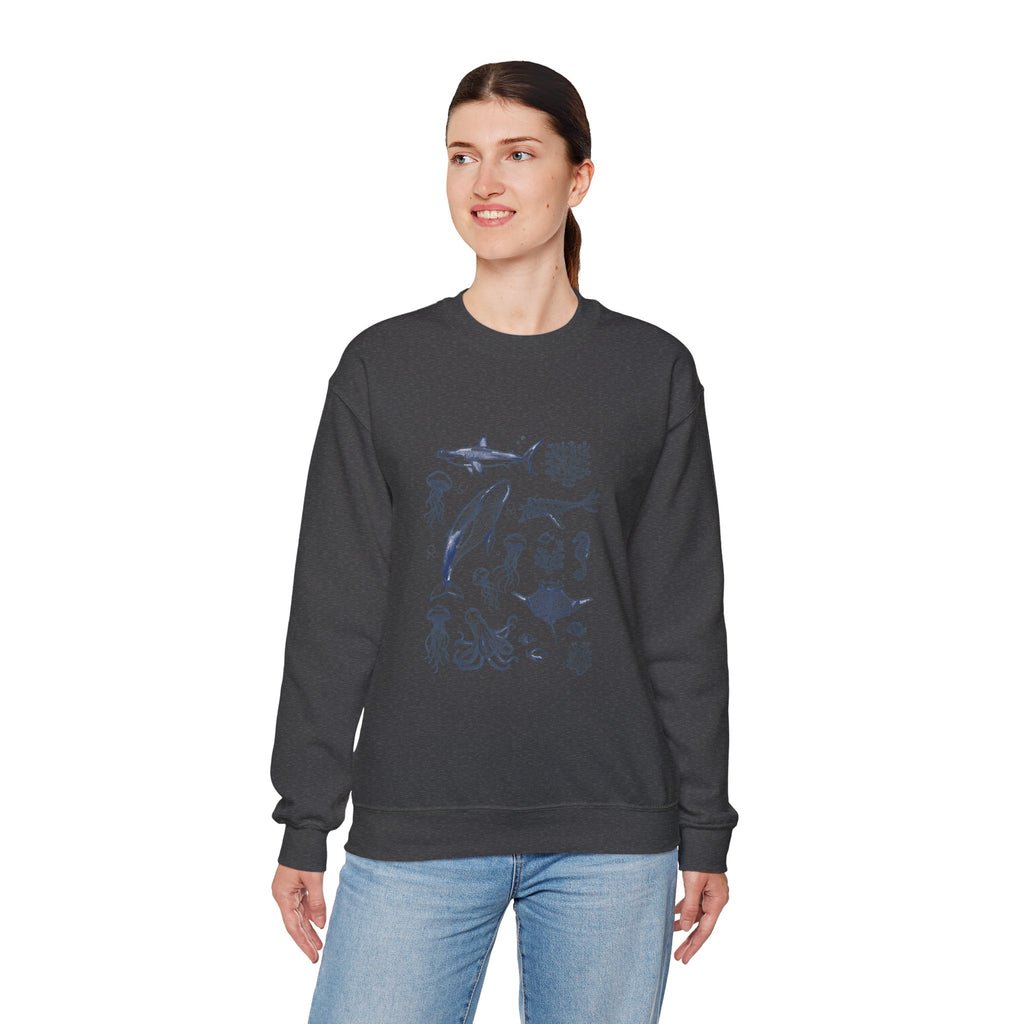 Marine Life Sketch Sweatshirt — Ocean Creatures Crewneck