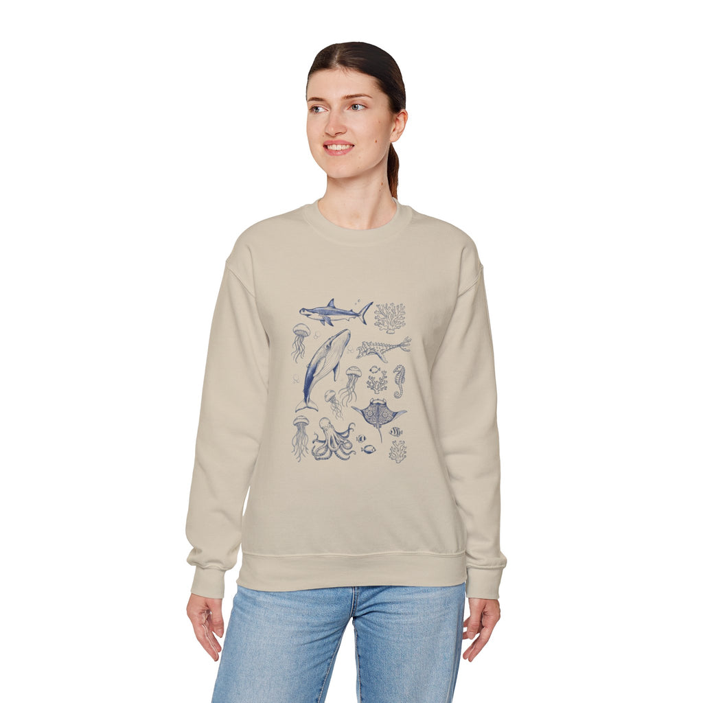 Marine Life Sketch Sweatshirt — Ocean Creatures Crewneck