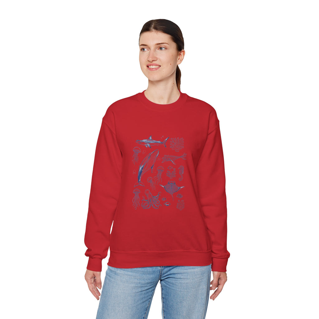 Marine Life Sketch Sweatshirt — Ocean Creatures Crewneck