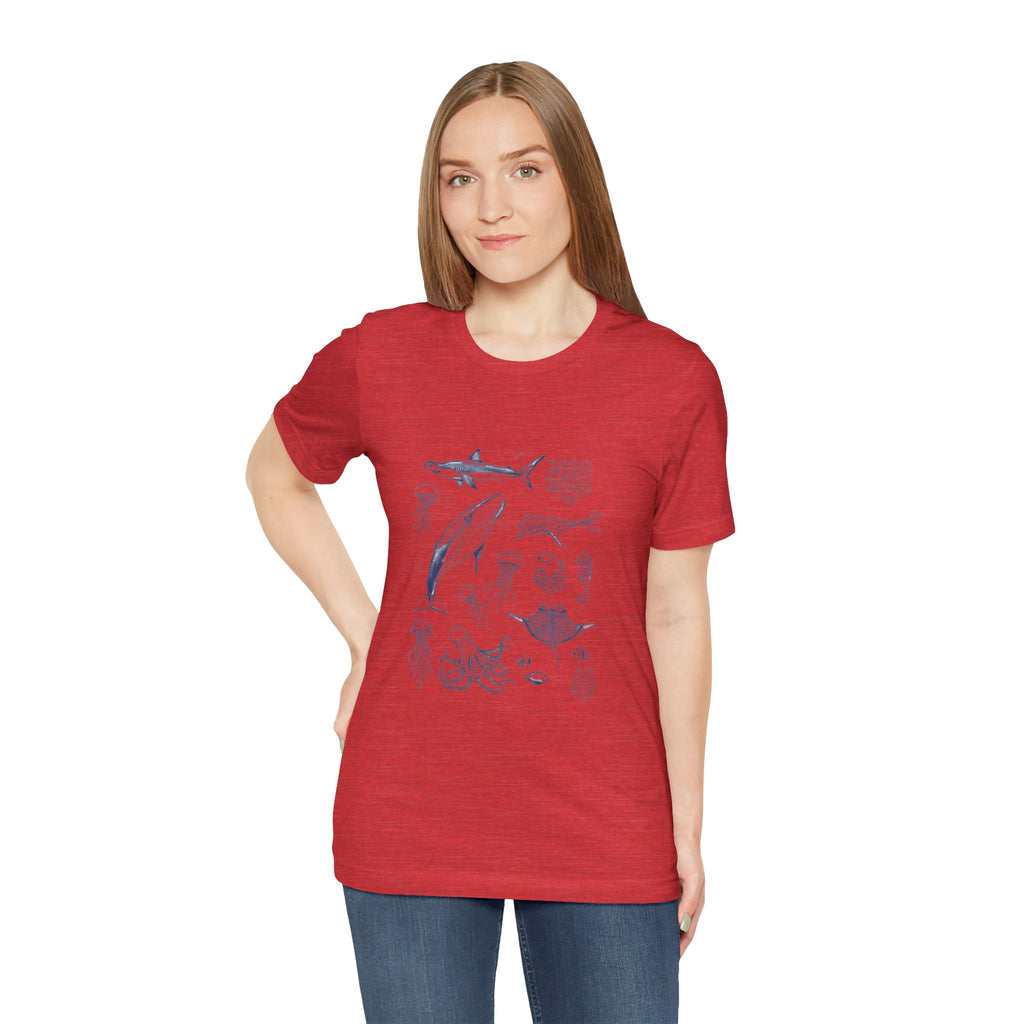 Ocean Wildlife Illustration T‑Shirt — Marine Life Chart Tee
