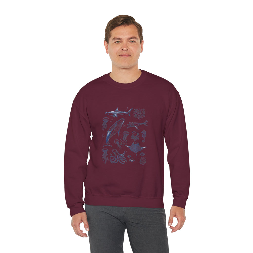 Marine Life Sketch Sweatshirt — Ocean Creatures Crewneck