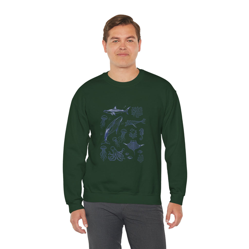 Marine Life Sketch Sweatshirt — Ocean Creatures Crewneck