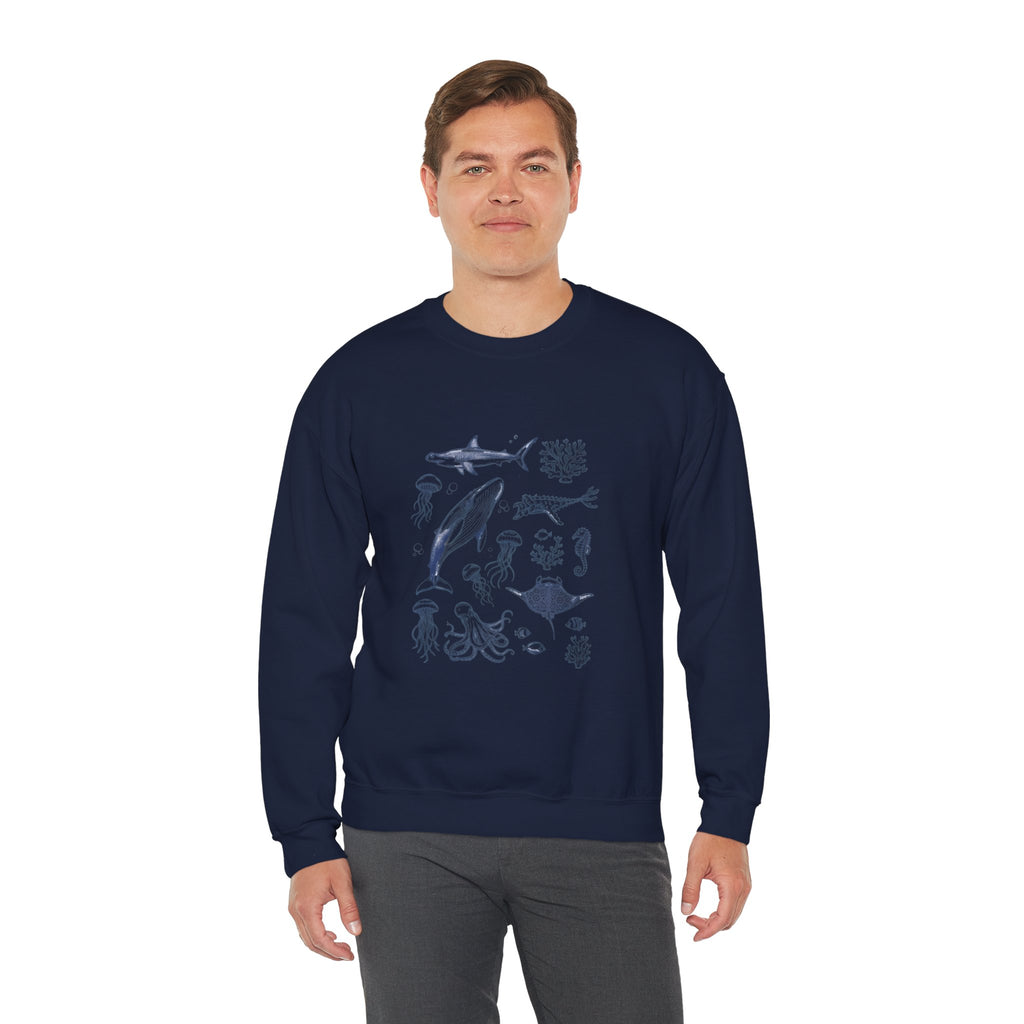 Marine Life Sketch Sweatshirt — Ocean Creatures Crewneck